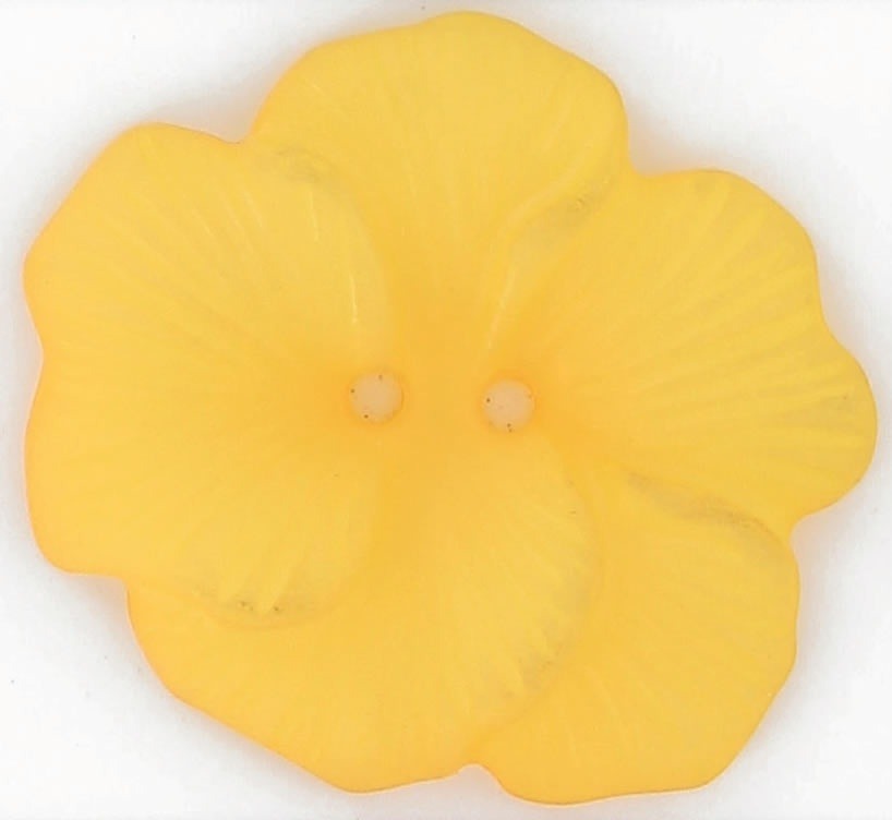 Boutons 2 trous fleur exotique translucide 48mm